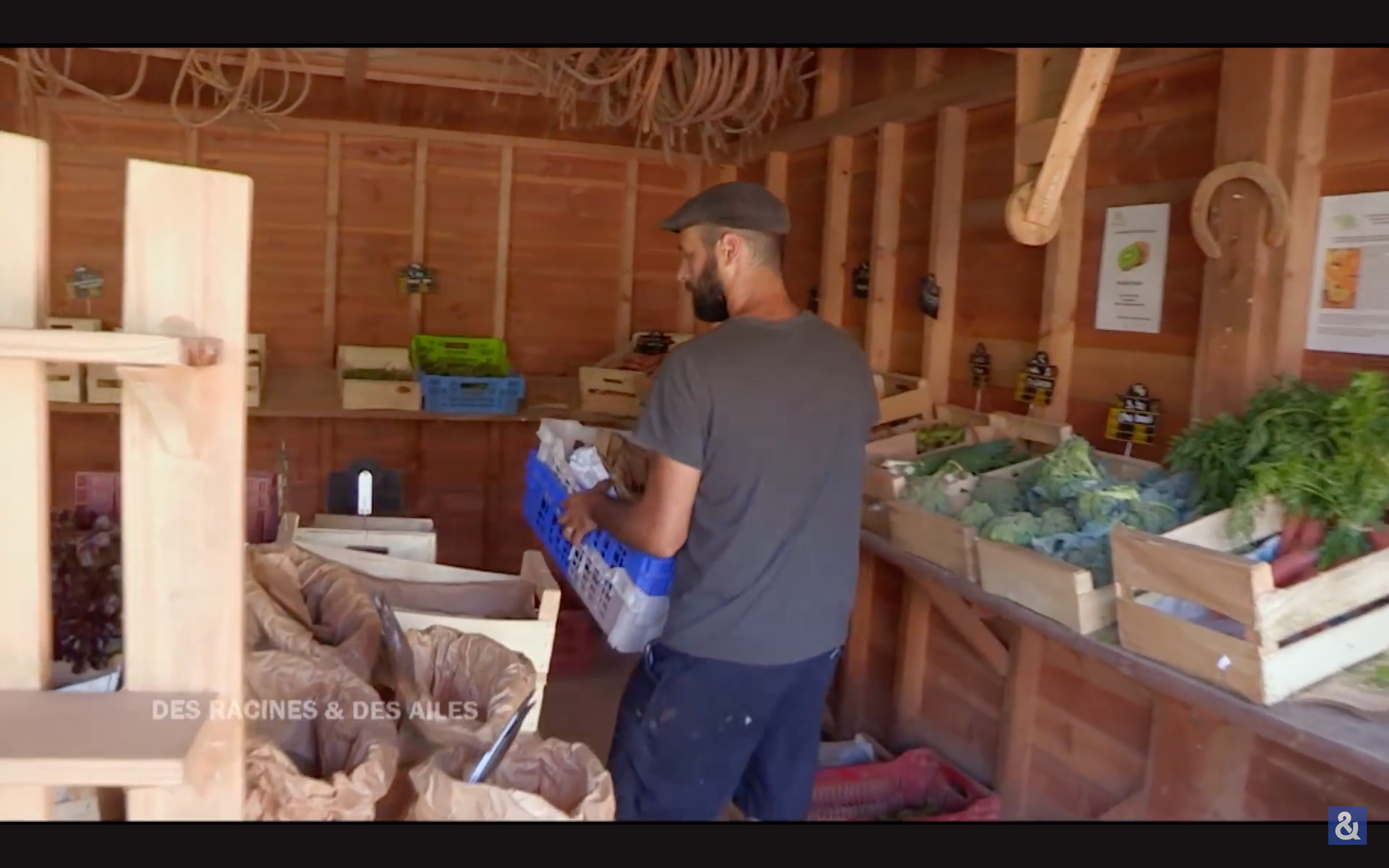 🗺️ Lesson Plan 011 - Keepin' It Local & 'Bio' 🚲🥬😋