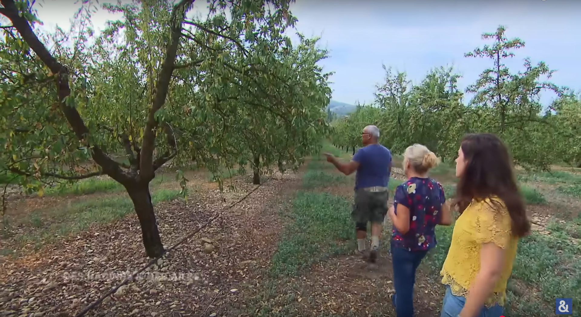 🗺️ Lesson Plan 014 - In The Almond Orchard 🌳😋⛱️