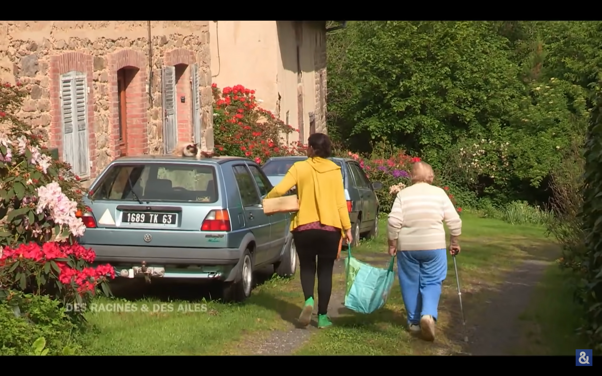 🗺️ Lesson Plan 015 - Deep Countryside Food Delivery 🥗🚚👵🏻