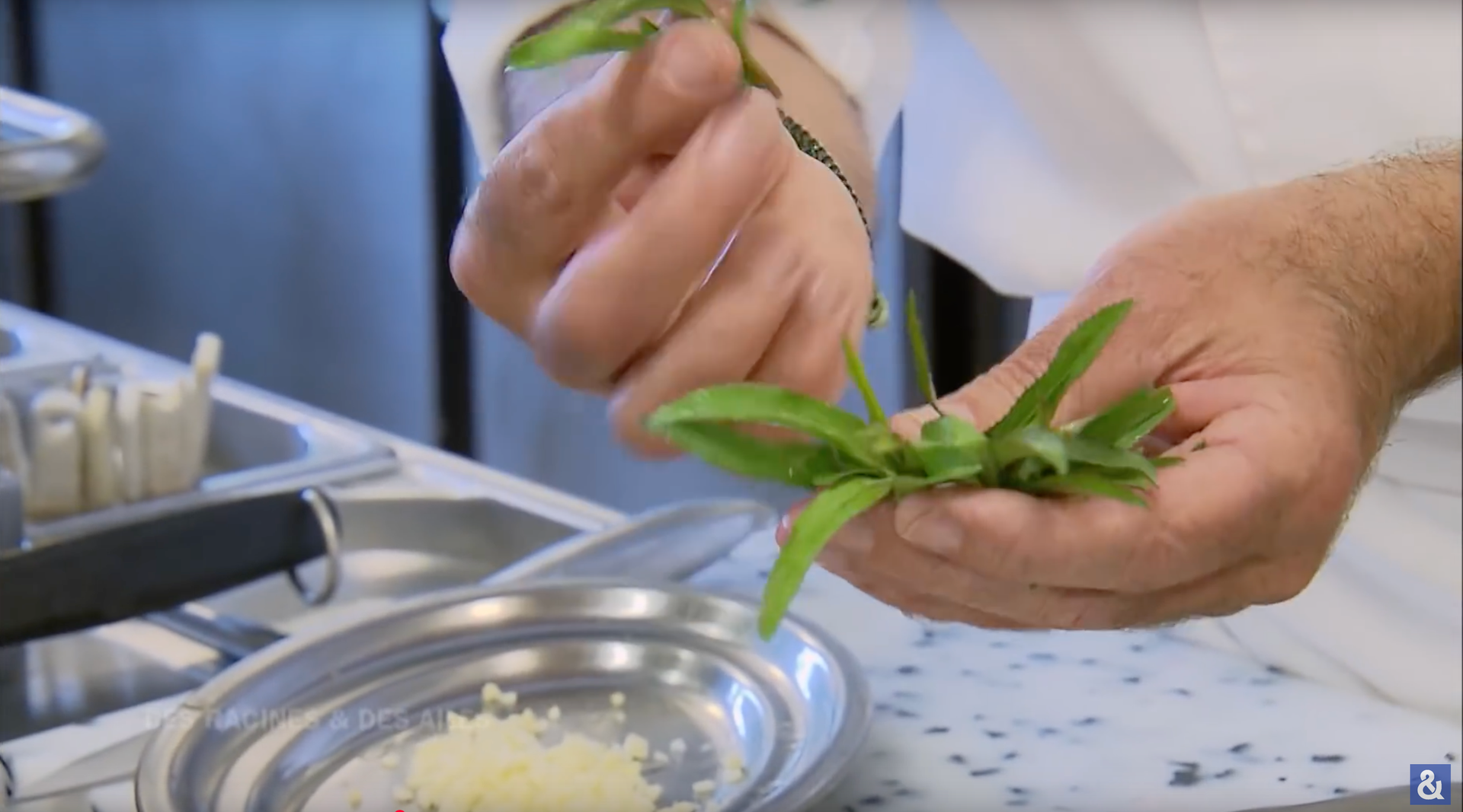 #025 👨🏻‍🍳🥕🌵 Train Your Ear: 4th bite