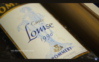 🗺️ Lesson Plan 006 - Sommelier Life Advice 🍷🥲